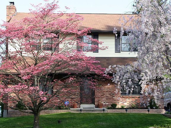 Gorgeous flowring trees in the spring.
