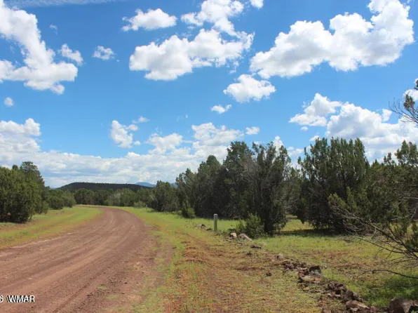 29 County Road 3199, Vernon, AZ 85940