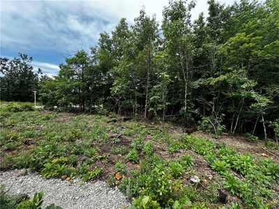 10 Lasswade Cir, Bella Vista, AR, 72715