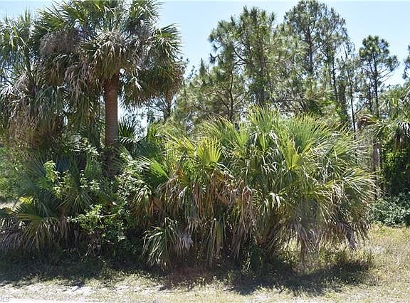 4th image of 12161 Borax Ave