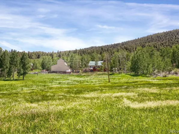 743 S Pine Drive, Bailey, CO 80421