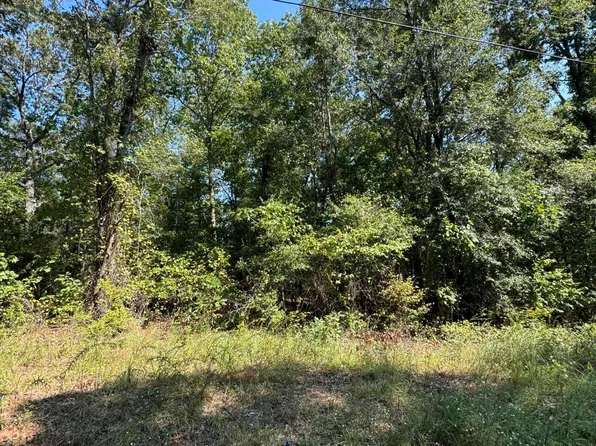 Lake Lurleen Rd, Coker, AL 35452