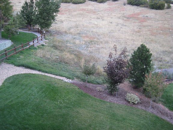 Back Yard and open space