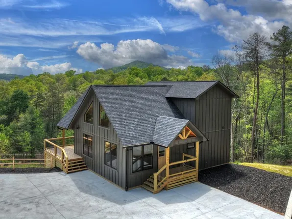 20B Twin Springs Rd, Mineral Bluff, GA 30559