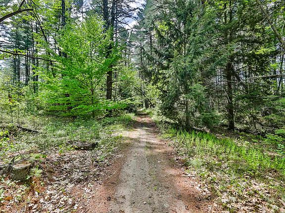 5th image of 2A & 2B Camp Road
