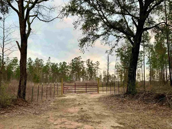 LOT 5 Highway 178, Jay, FL 32565