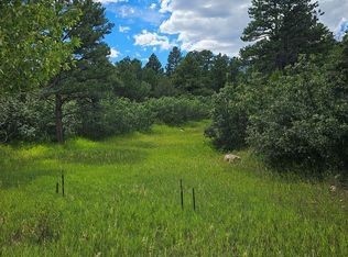 0 N Site Address, Rye, CO 81069