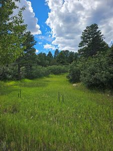 0 N Site Address, Rye, CO, 81069