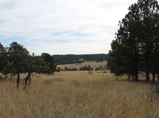 17365 Lodgepole Road, Peyton, CO 80831