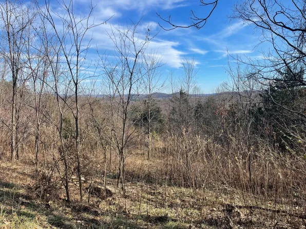 0 Taylor Mountain Rd Lot 51A, Thaxton, VA 24174
