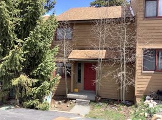 6722 Ryan Gulch Rd APT 6722, Silverthorne, CO 80498