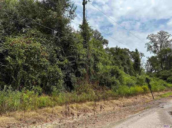 46380 Robert Jr Rd, Saint Amant, LA 70774