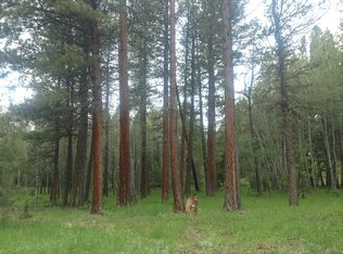 3823 Stonewall Creek Rd, Lincoln, MT 59639