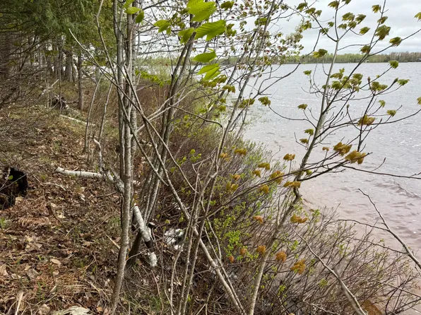 79 W Birch Shores Dr, Trout Lake, MI 49793