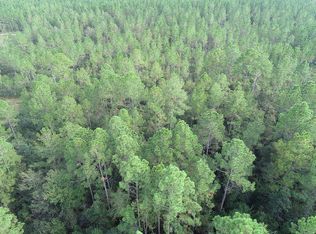 Reddish Rd, Reddish, GA 31555