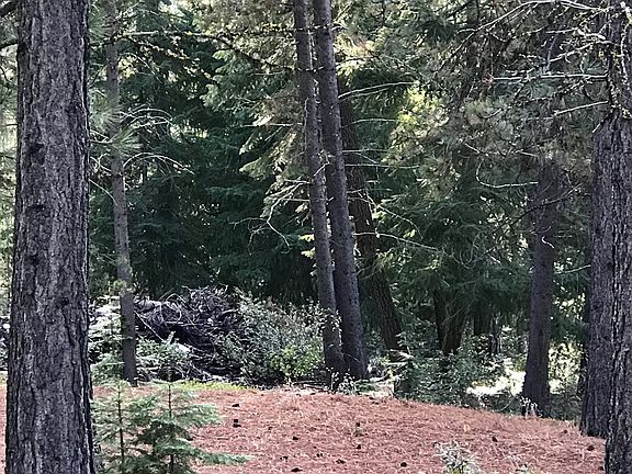 4th image of 28 Sugar Cone Ct