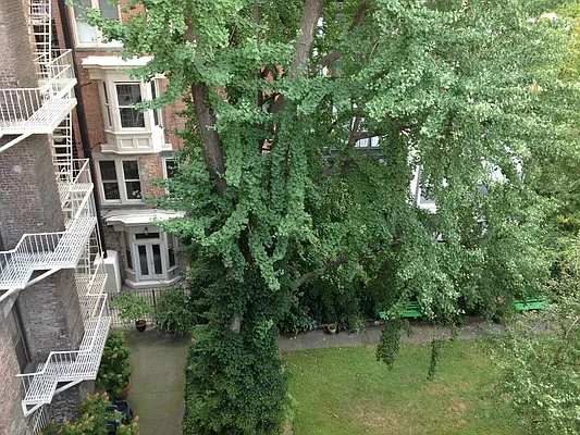 Rented by Sotheby's International Realty | media 33