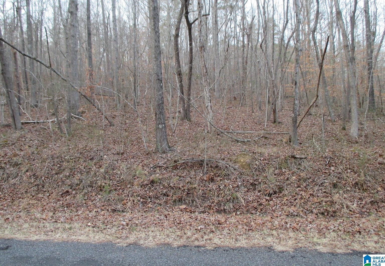 0 Kennedy Dr 10, Oneonta, AL 35121 MLS 21375155 Zillow