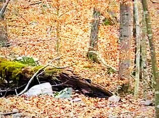 Fiery Run Rd, Linden, VA 22642