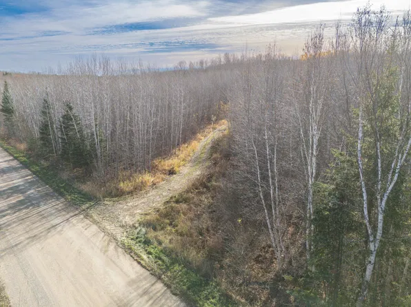 County Road 523, Effie, MN 56639