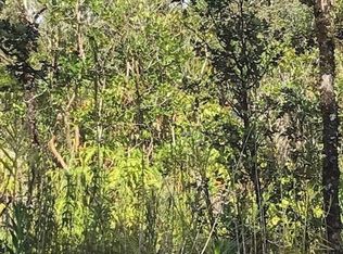 7th St LOT 596, Volcano, HI 96785