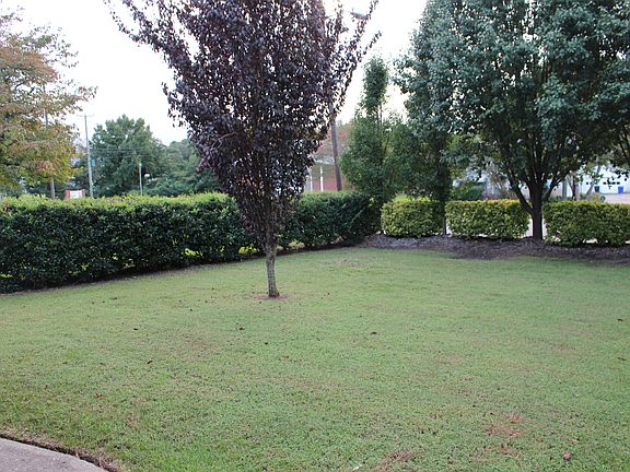 Front yard