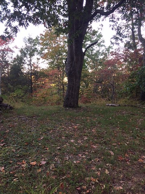 2nd image of 578 Loop Rd