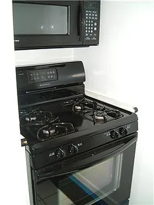 Rented by Furumoto Realty of New York City Inc | media 16