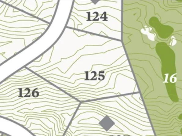303 Carnoustie Lot 125, Shoal Creek, AL 35242