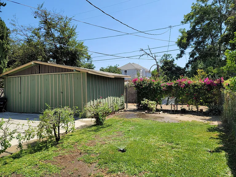 Back Yard