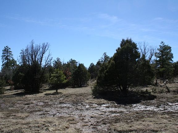 5th image of 58 Laguna Vista Dr
