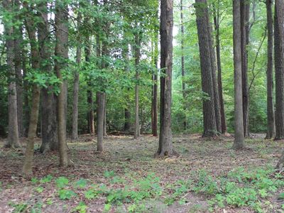 2105 Buccaneer Blvd, Greenbackville, VA, 23356