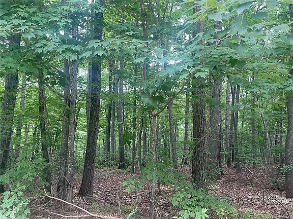 5th image of 311 Mountain Lake Ln
