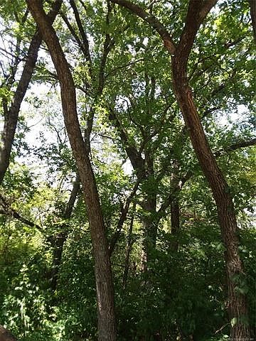 1st image of 16525 County Road 3547