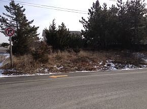 1st image of 700 S Atlantic Ave