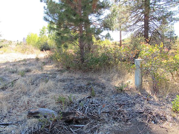 3rd image of 0 Forest View Dr