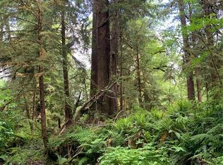 292 Sportsman Club Rd, Forks, WA 98331