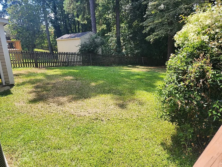 124 Loblolly Cir — Photo 16