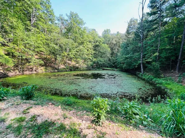 12B Lewis Ln, Melbourne, AR 72556