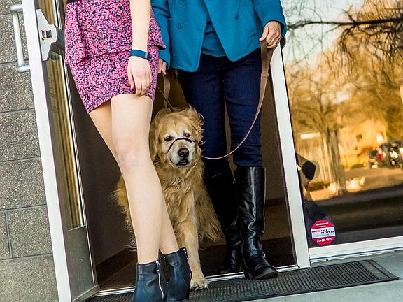 Blue Dot Place - Pet Friendly