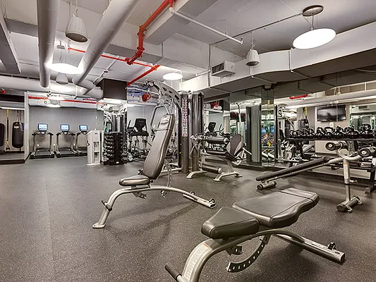 Rented by Cooper & Cooper Real Estate | media 19