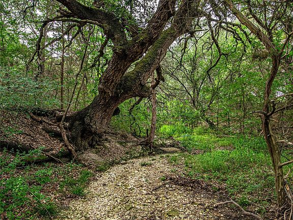 5th image of Tbd Gholson Rd