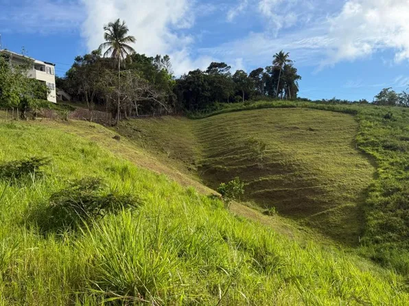 Lote 1d Carr Prairie Km #853-11.3, Carolina, PR 00987