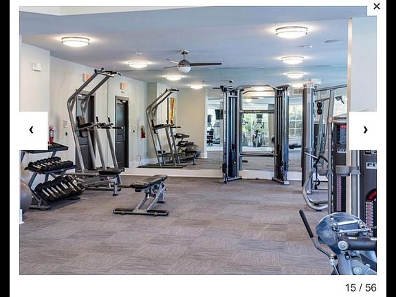 5th image of 12603 Lake Square Cir APT 305