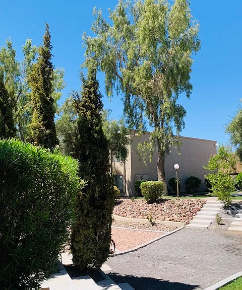 Desert Springs Apartments — Photo 32