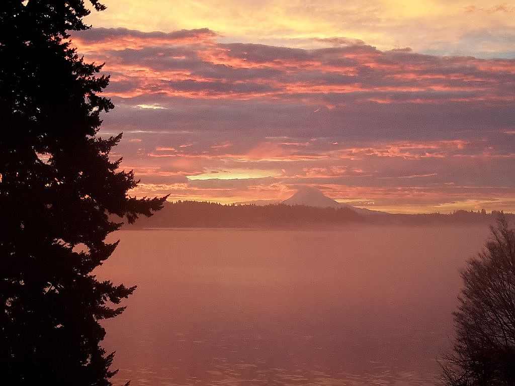 8194 Silverdale Way NW, Silverdale, WA 98383 Zillow