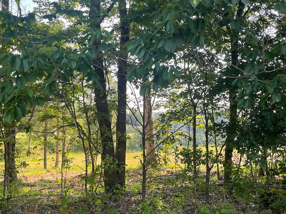 1st image of 260 Forest Ridge Dr
