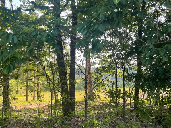 260 Forest Ridge Dr, Paducah, KY 42003
