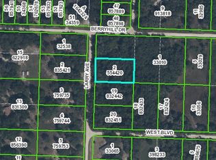 00 Larry Ave, Webster, FL 33597