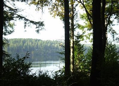 View from a Second Story